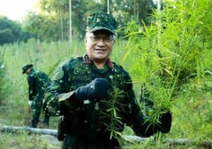KEPALA BNN RI PIMPIN PEMUSNAHAN LAHAN GANJA DI ACEH UTARA KEPALA BNN RI PIMPIN PEMUSNAHAN LAHAN GANJA DI ACEH UTARA